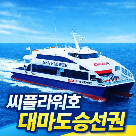 대마도 배편 왕복 승선권  씨플라워호 히타카츠 이즈하라 렌트카 예약상품 자유여행  1박2일