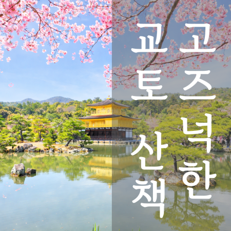 가성비 강추 고베 히메지 나라 교토 오사카 4박5일